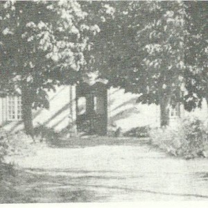 Amadora Amadora